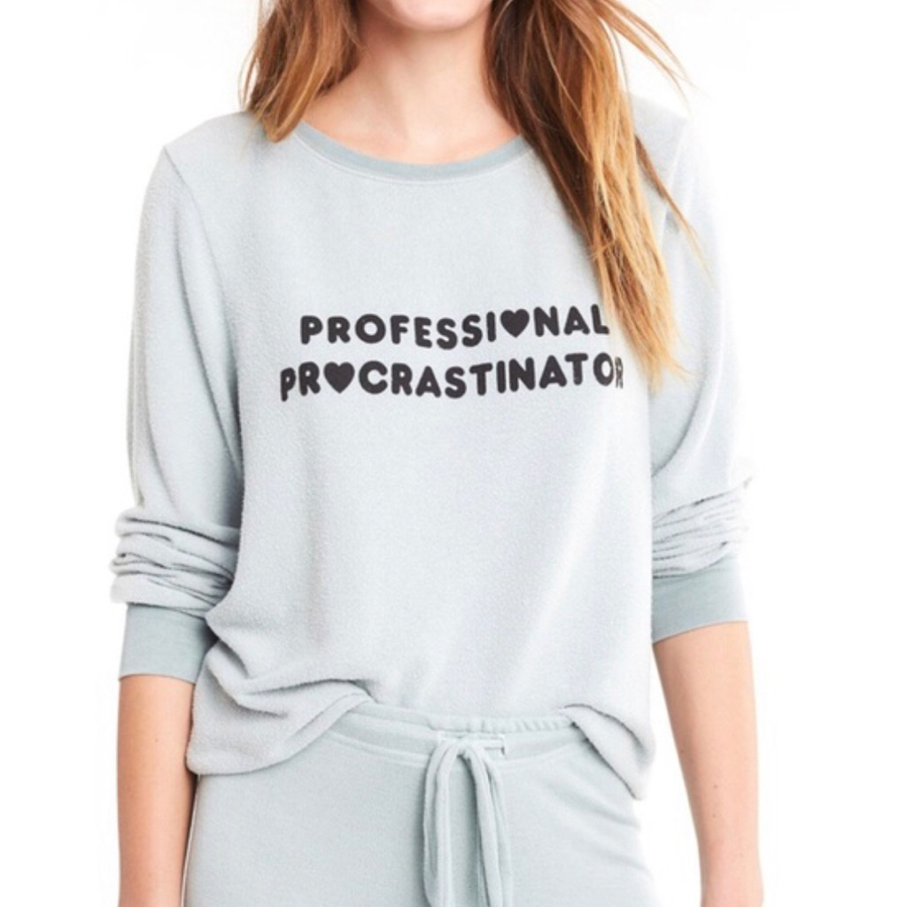 Wildfox Professional Procrastinator Sweatshirt